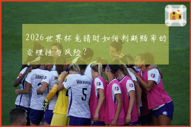 2026世界杯竞猜时如何判断赔率的合理性与风险？