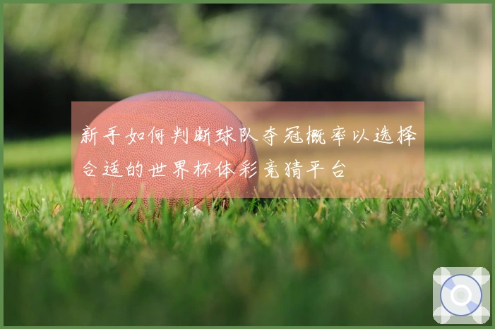 新手如何判断球队夺冠概率以选择合适的世界杯体彩竞猜平台