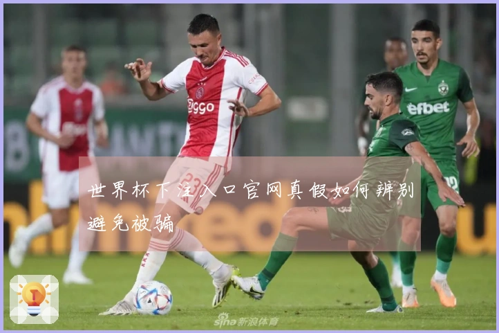 世界杯下注入口官网真假如何辨别避免被骗