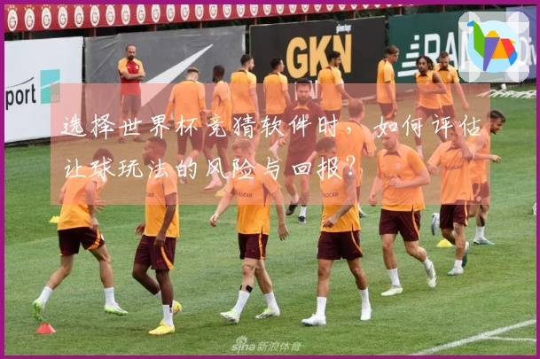 选择世界杯竞猜软件时，如何评估让球玩法的风险与回报？