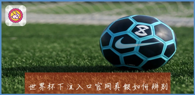 世界杯下注入口官网真假如何辨别避免被骗