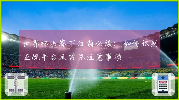 世界杯决赛下注前必读：如何识别正规平台及常见注意事项