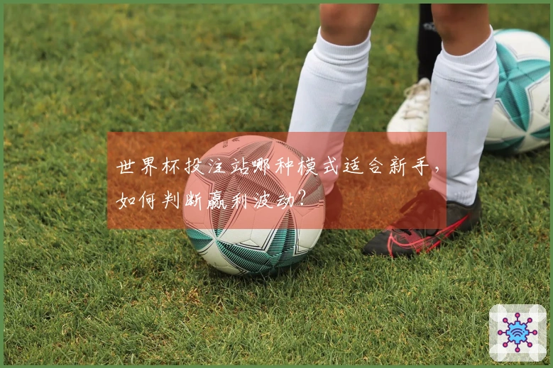 世界杯投注站哪种模式适合新手，如何判断赢利波动？