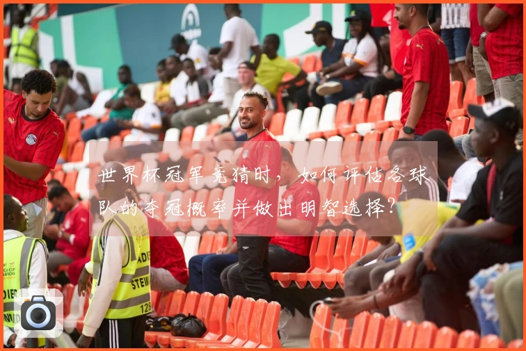 世界杯冠军竞猜时，如何评估各球队的夺冠概率并做出明智选择？
