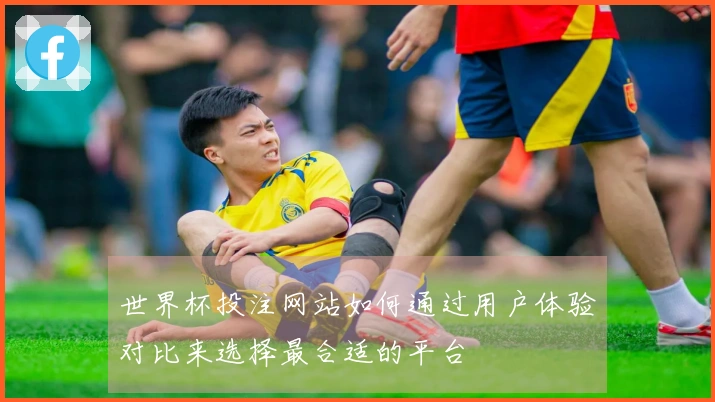 世界杯投注网站如何通过用户体验对比来选择最合适的平台
