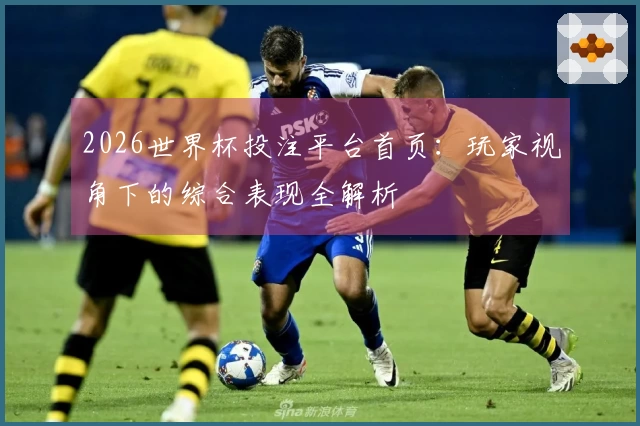 2026世界杯投注平台首页:玩家视角下的综合表现全解析
