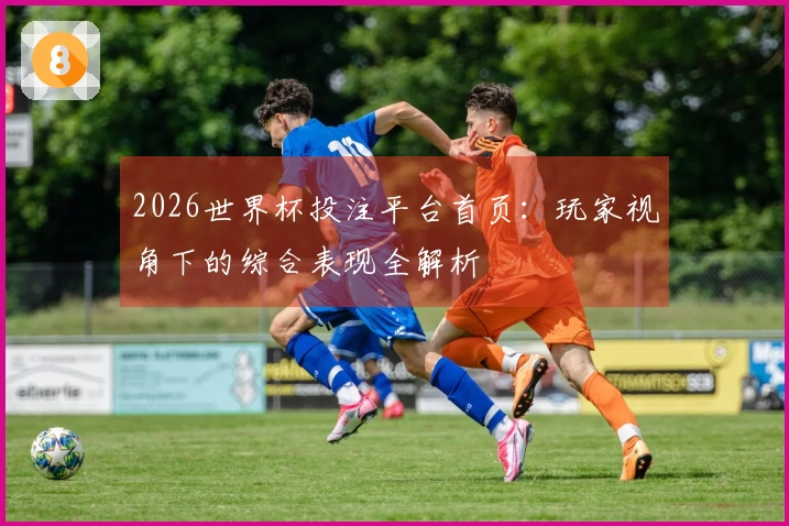 2026世界杯投注平台首页：玩家视角下的综合表现全解析