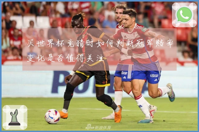 买世界杯竞猜时如何判断冠军赔率变化是否值得关注