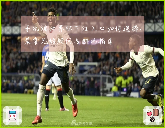 手机端世界杯下注入口如何选择，最常见的疑问与避坑指南