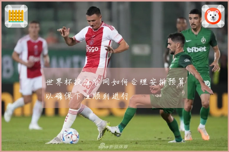 世界杯投注官网如何合理安排预算以确保下注顺利进行
