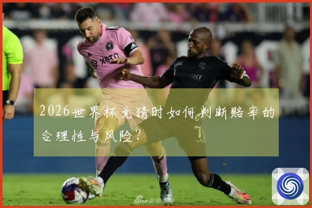 2026世界杯竞猜时如何判断赔率的合理性与风险？