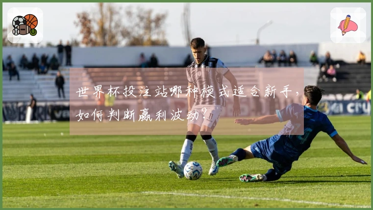 世界杯投注站哪种模式适合新手，如何判断赢利波动？