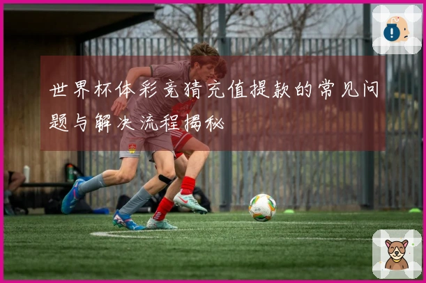 世界杯体彩竞猜充值提款的常见问题与解决流程揭秘