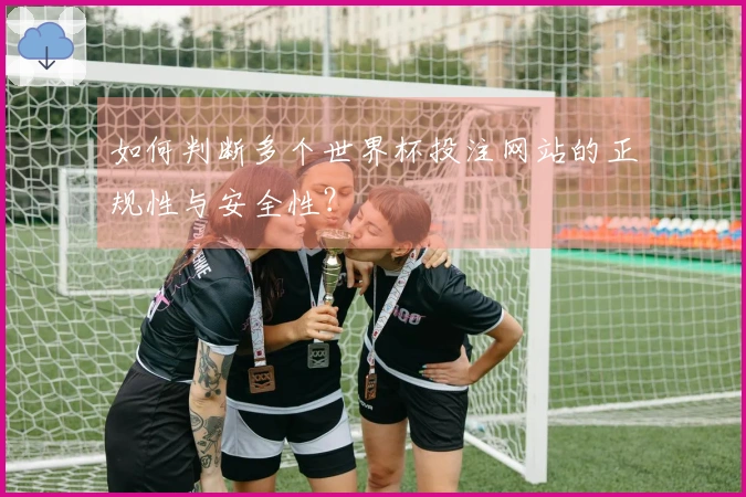 如何判断多个世界杯投注网站的正规性与安全性？