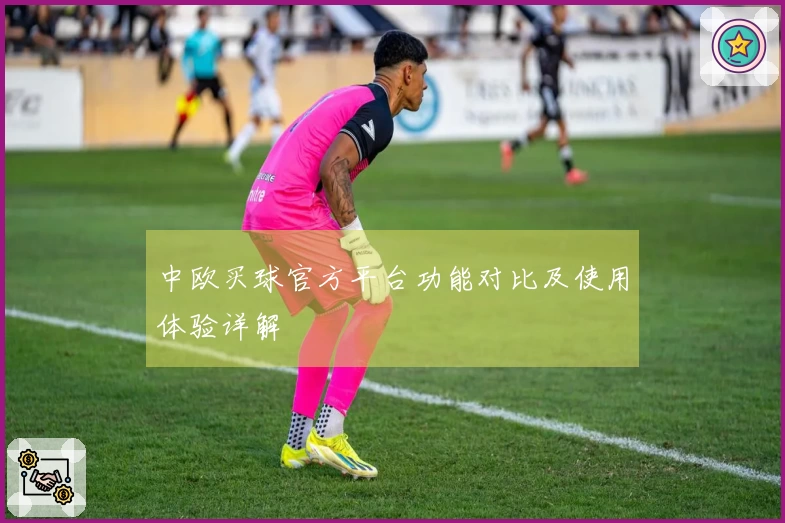 中欧买球官方平台功能对比及使用体验详解