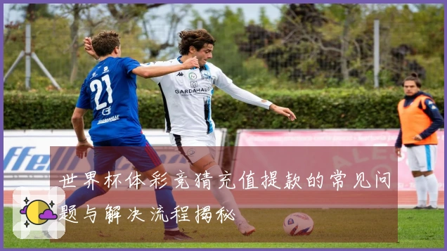 世界杯体彩竞猜充值提款的常见问题与解决流程揭秘